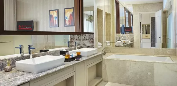 DELUXE SUITE BATH.jpg