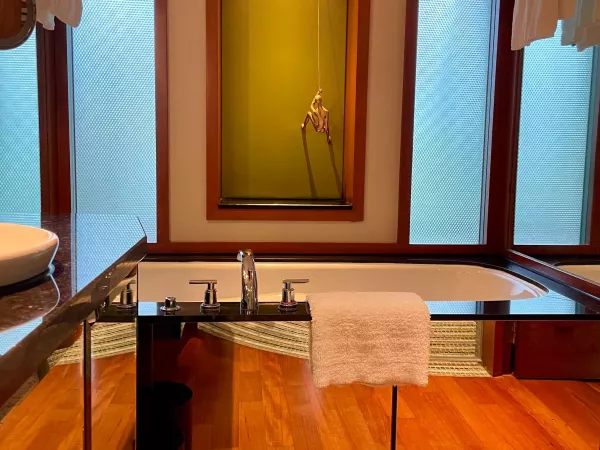 LUXURY ROOM BATHROOM SOFITEL 1.jpg