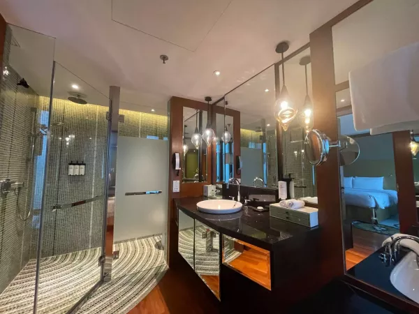 LUXURY ROOM BATHROOM SOFITEL.jpg