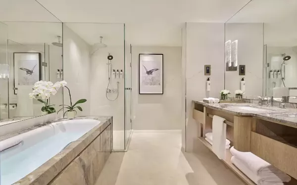 DELUXE ROOM BATHROOM MO.jpg