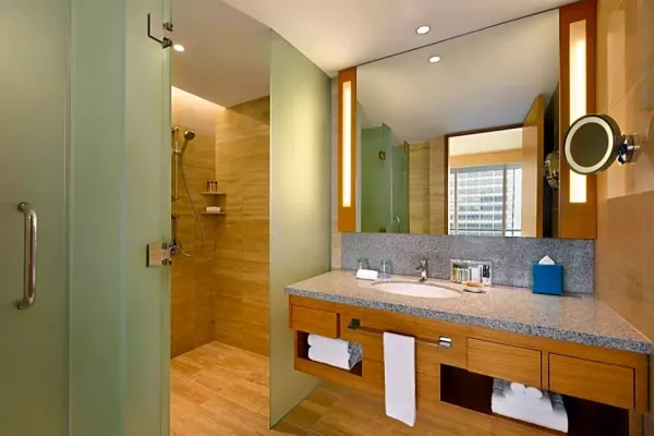 BATHROOM DELUXE.jpeg