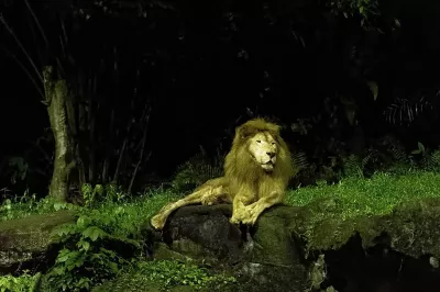 lion-night-singapore.jpg