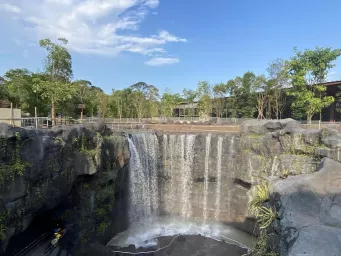 pico-creates-rockwork-waterfall-Mandai-bird-paradise.jpeg