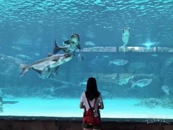 huge-aquarium-and-me.jpg