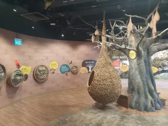 bird-paradise (4).jpg