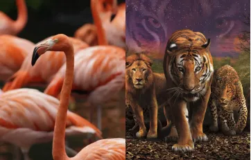 Group 1948757336.jpg