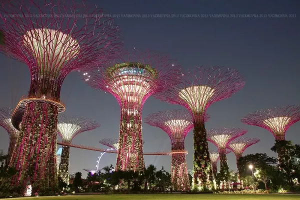 gardens-by-the-bay (2).jpg