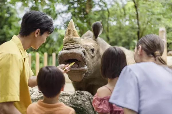 rhino-feeding.jpg