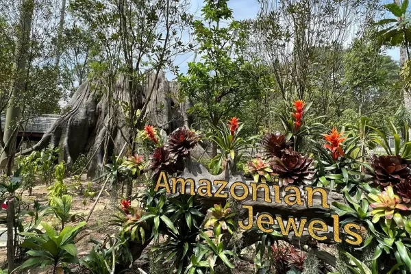 amazonian-jewels.jpg