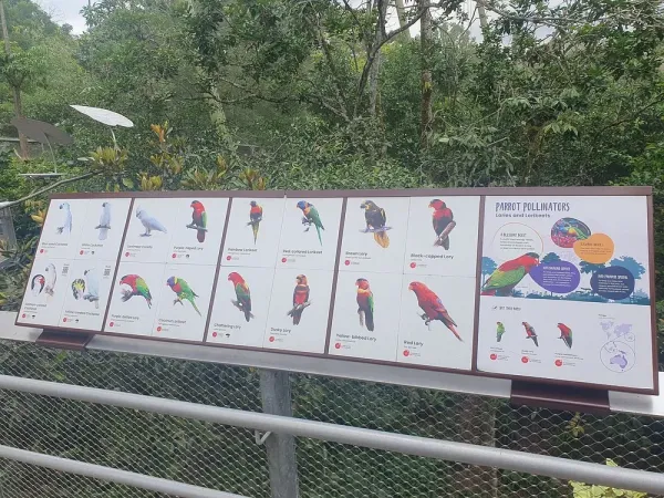 bird-paradise (2).jpg